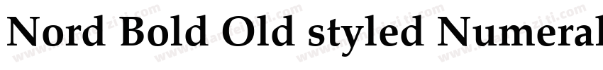 Nord Bold Old styled Numerals字体转换